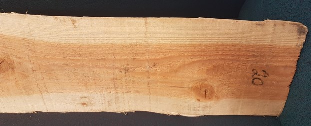 Tooth marks